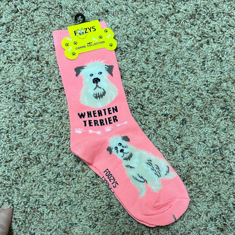 Wheaten Terrier Dog Socks - Pink